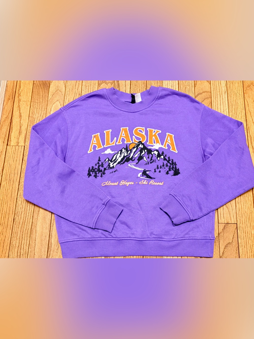 H&M Purple Alaska Graphic Crewneck Sweatshirt
